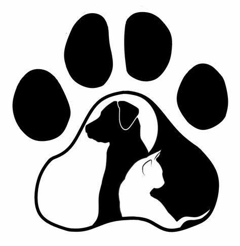 Everythung your furry friend needs-love,comfort,and care in one plece🐾