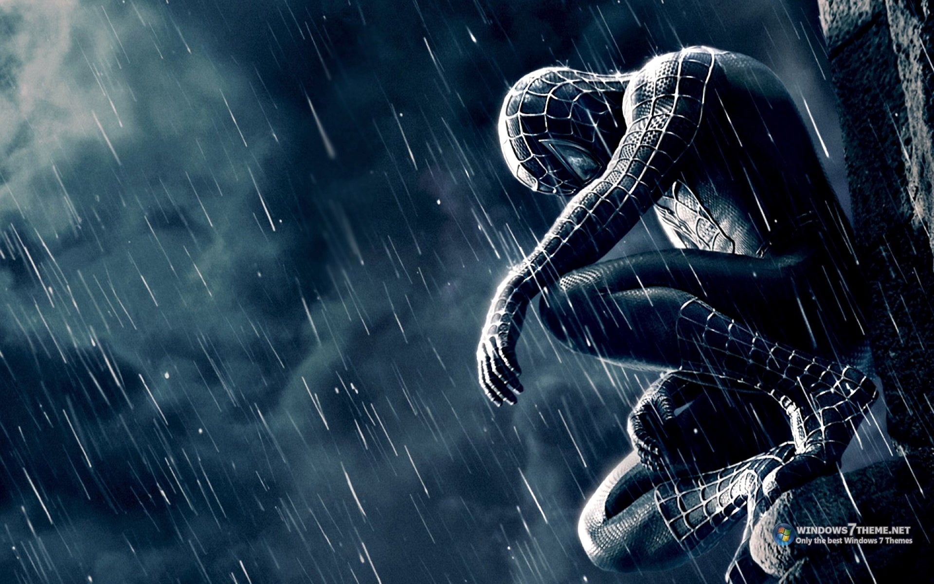 2025 Colection of the Spider Man